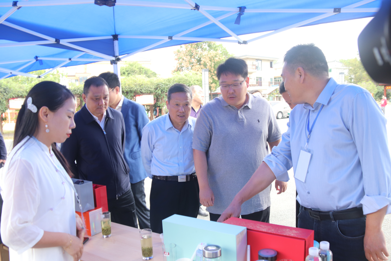 关于高淳漆桥：“金叶子”助力乡村振兴新发展的消息(1)