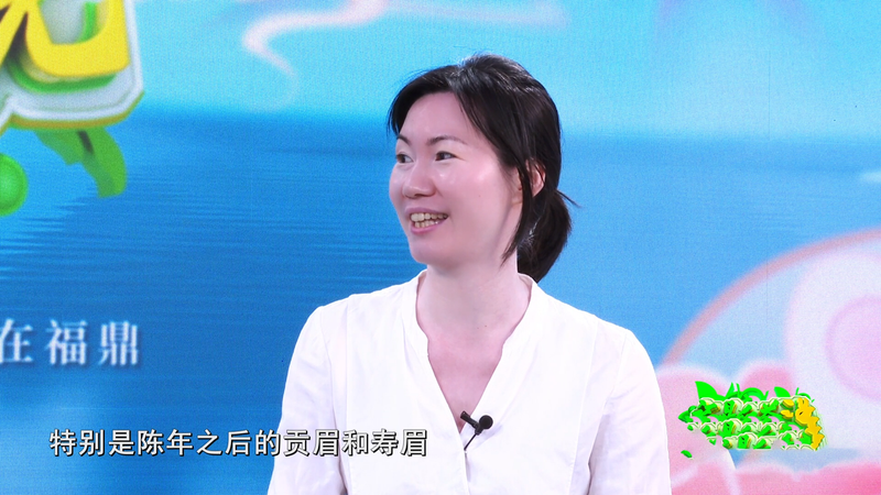 关于《福鼎白茶说》——福鼎白茶·女性说的内容(2)