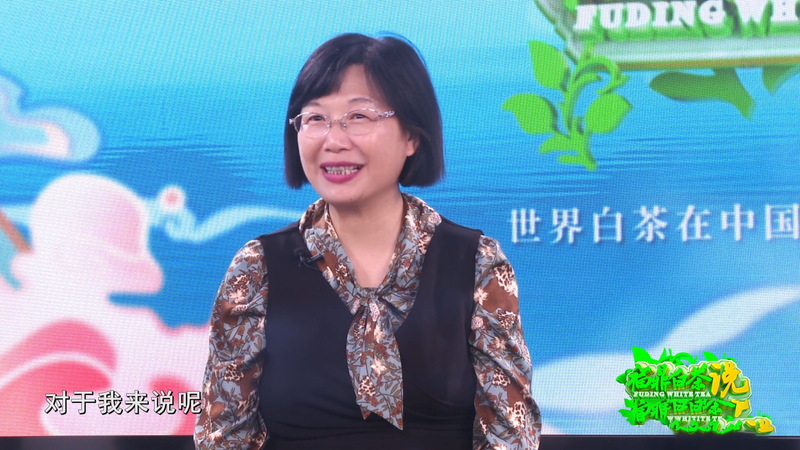 关于《福鼎白茶说》——福鼎白茶·女性说的内容(1)