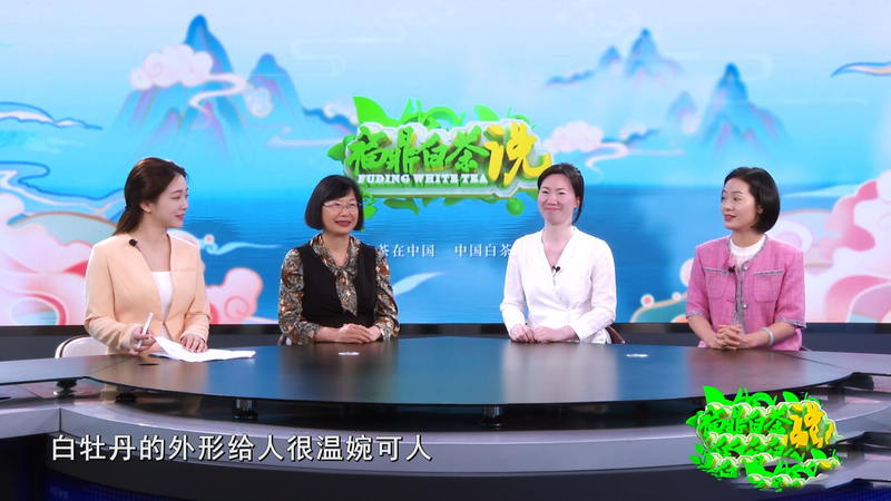 关于《福鼎白茶说》——福鼎白茶·女性说的内容