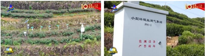 关于福安：一片茶叶的富民强县之路的相关信息(2)