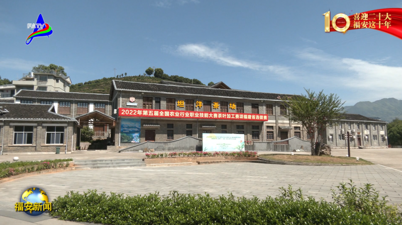 关于福安：一片茶叶的富民强县之路的相关信息(11)