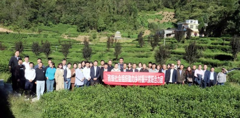 关于陕西省茶叶流通协会参加省级社会组织紫阳合力团乡村振兴项目对接交流座谈会的资讯