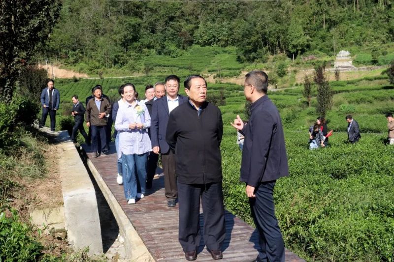 关于陕西省茶叶流通协会参加省级社会组织紫阳合力团乡村振兴项目对接交流座谈会的资讯(17)