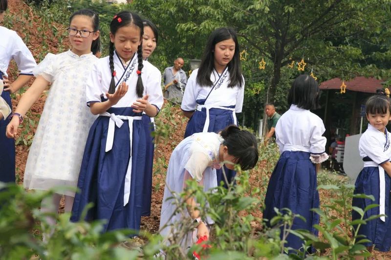 关于喜迎二十大 国庆有约——茶文化公园青少年茶会成功举行的最新消息(12)