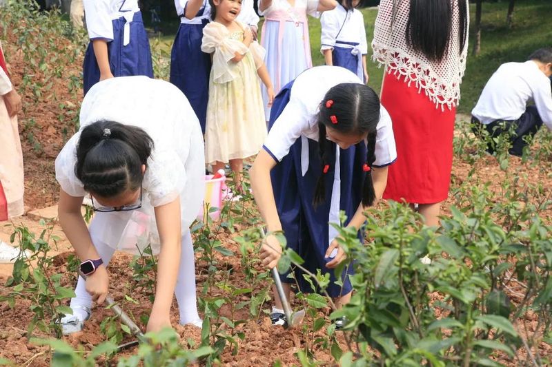 关于喜迎二十大 国庆有约——茶文化公园青少年茶会成功举行的最新消息(13)
