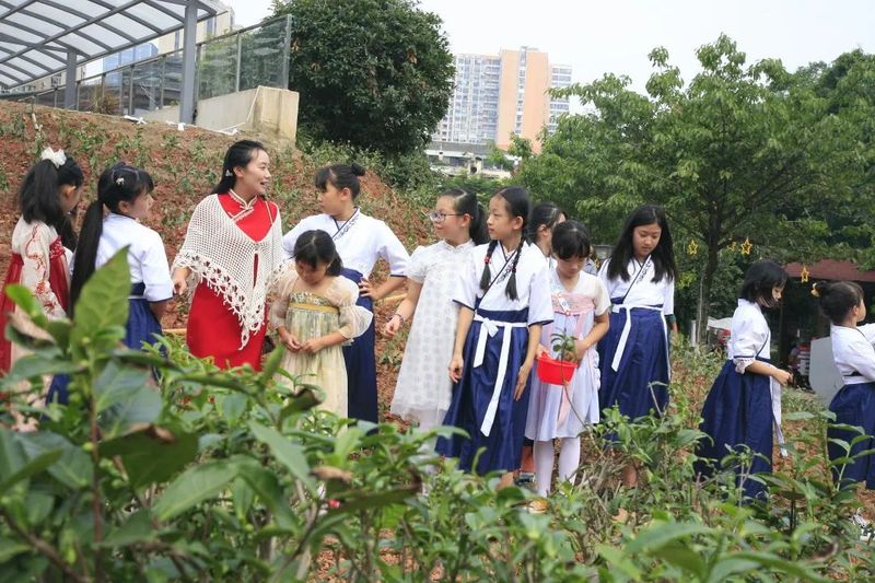 关于喜迎二十大 国庆有约——茶文化公园青少年茶会成功举行的最新消息(14)