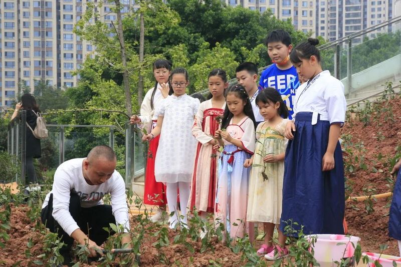 关于喜迎二十大 国庆有约——茶文化公园青少年茶会成功举行的最新消息(8)