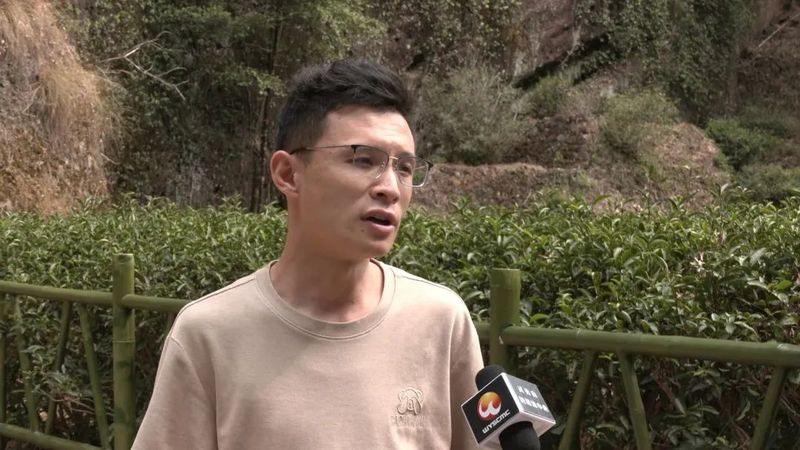 有关于国庆假期：漫游武夷山 品读茶文化的内容(5)