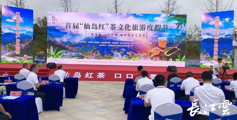有关于黄石阳新首届“仙岛红”茶文化旅游度假节开幕的最新消息