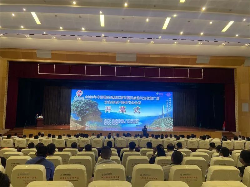 有关于一场滇红茶的盛典!2022年中国临沧凤庆红茶节暨凤庆茶马文化周正式开启的内容