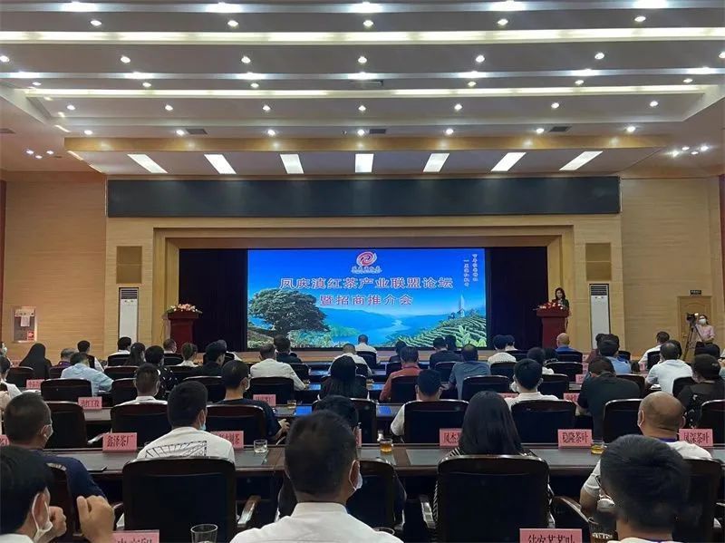 有关于一场滇红茶的盛典!2022年中国临沧凤庆红茶节暨凤庆茶马文化周正式开启的内容(4)