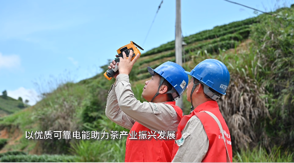 关于安溪：全力做好电力保供 助力茶农稳产增收的新闻