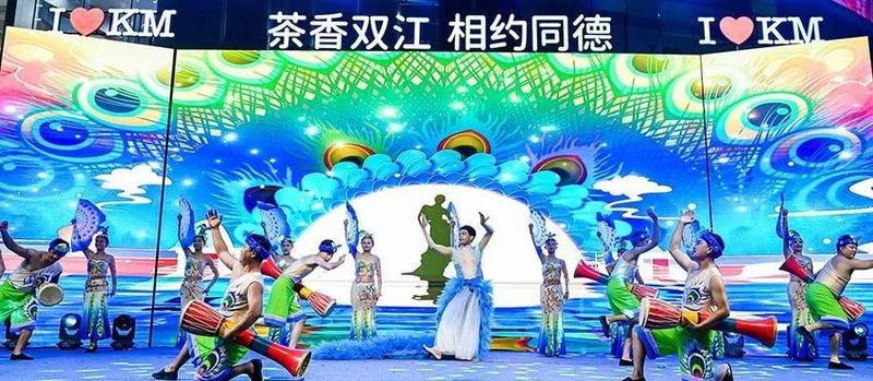 关于“茶香双江 相约同德”推介活动圆满落幕的资讯(5)