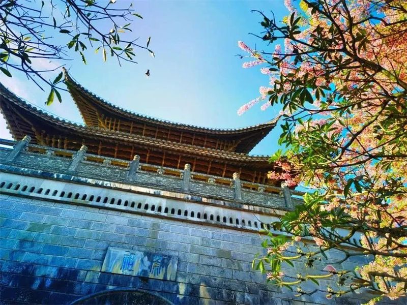 关于中华普洱茶博览苑：琼岭锁流霞，天光沐嫩茶的相关信息(7)