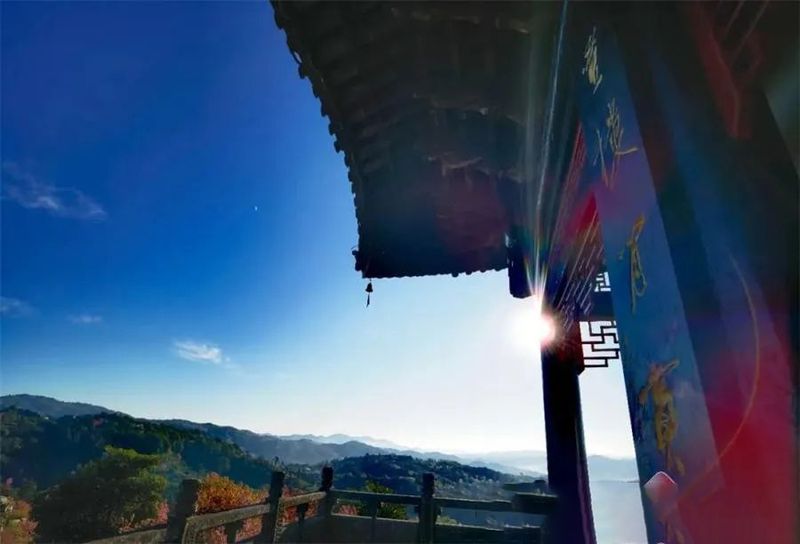 关于中华普洱茶博览苑：琼岭锁流霞，天光沐嫩茶的相关信息(9)