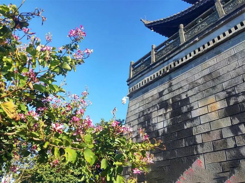 关于中华普洱茶博览苑：琼岭锁流霞，天光沐嫩茶的相关信息(5)