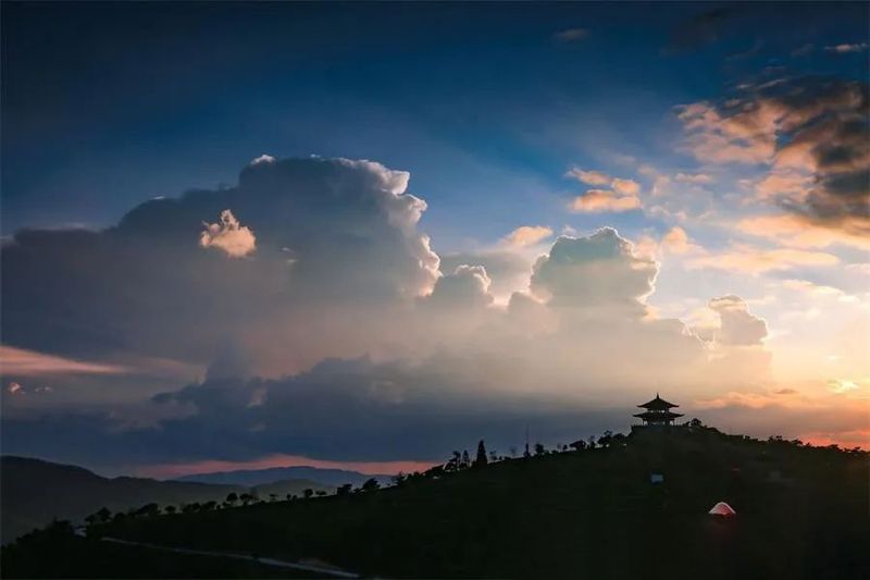 关于中华普洱茶博览苑：琼岭锁流霞，天光沐嫩茶的相关信息(4)