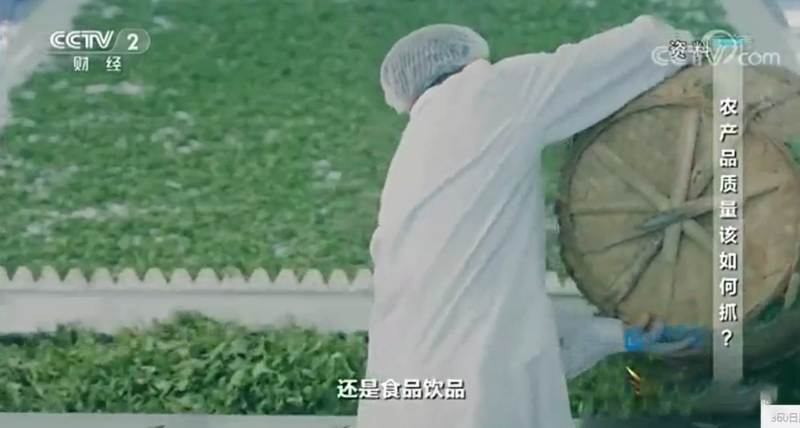 有关于福鼎市委书记林青做客央视《对话》,畅谈福鼎白茶的信息(4)