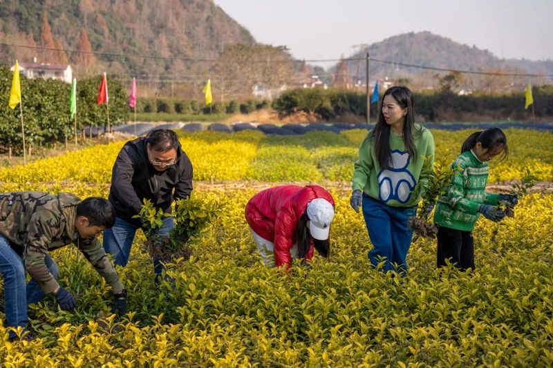有关于青春助力共富工坊建设，诗意茶叶“青创农场”搭建金山共富筑梦空间的消息(6)