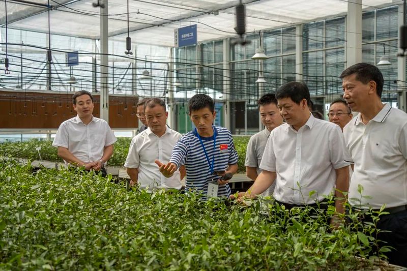 有关于青春助力共富工坊建设，诗意茶叶“青创农场”搭建金山共富筑梦空间的消息(5)