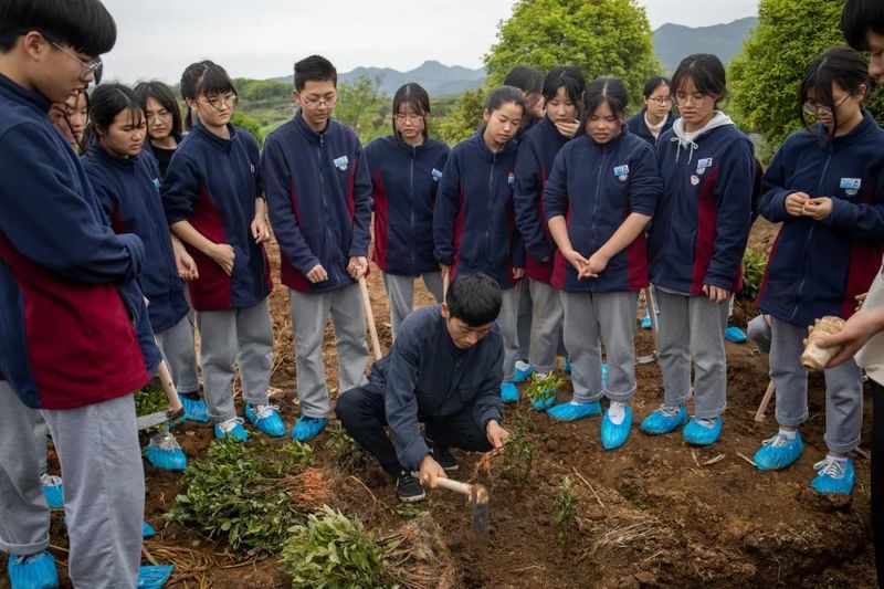 有关于青春助力共富工坊建设，诗意茶叶“青创农场”搭建金山共富筑梦空间的消息(7)