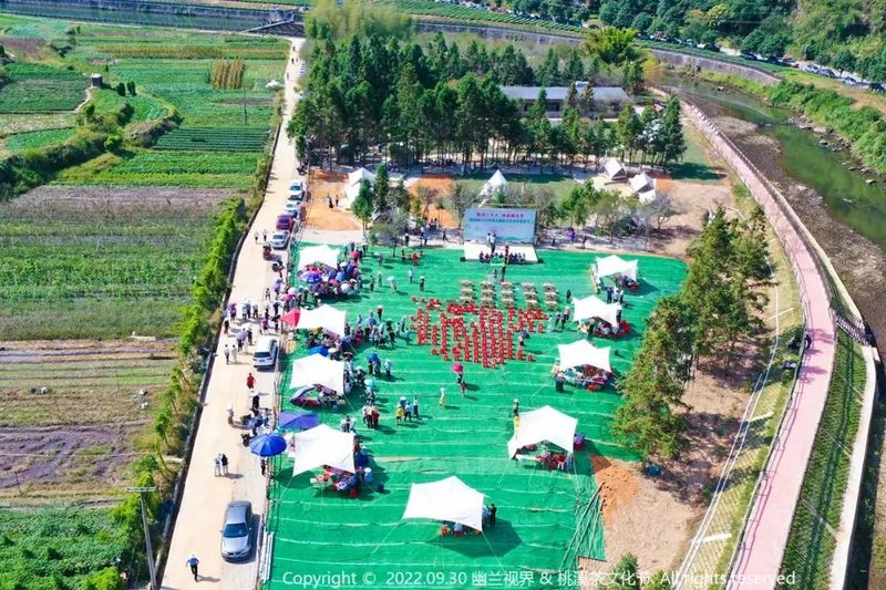 有关于一周茶事：《乡村振兴战略规划（2018—2022年）》实施进展；多地茶王赛征样开启的相关内容(4)