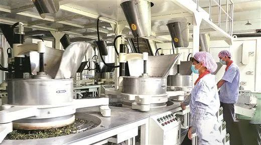 有关于昔日荒山变金山 茶园成了致富园的新闻(1)