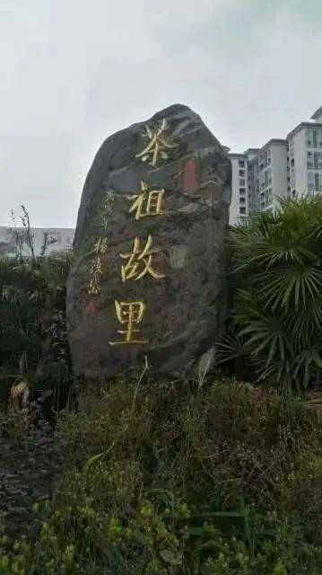 关于僧正祖崇与蒙顶山茶的最新消息(1)