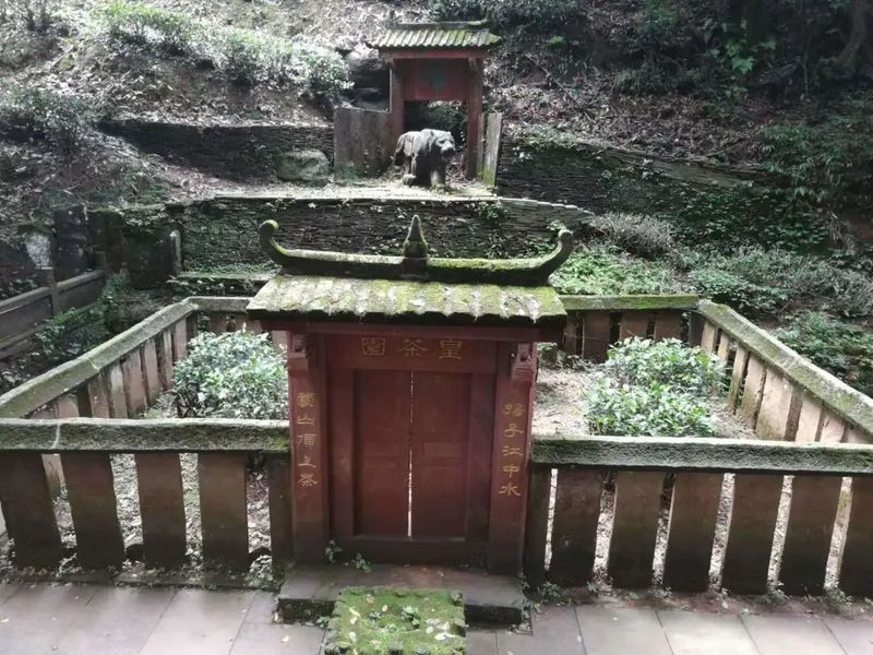 关于僧正祖崇与蒙顶山茶的最新消息(3)