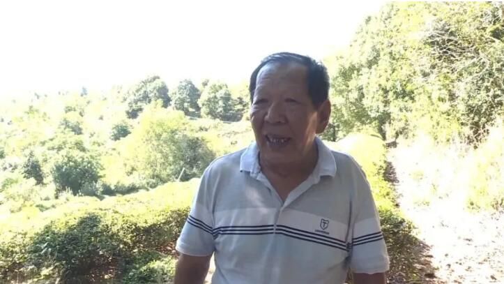 关于连城县举办2022年茶叶机械化生产新机具推广演示会的消息(4)