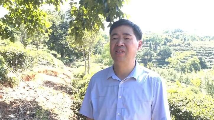关于连城县举办2022年茶叶机械化生产新机具推广演示会的消息(5)