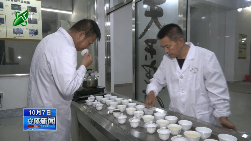 有关于安溪:秋茶采制正当时 量减质优单价涨的信息(9)