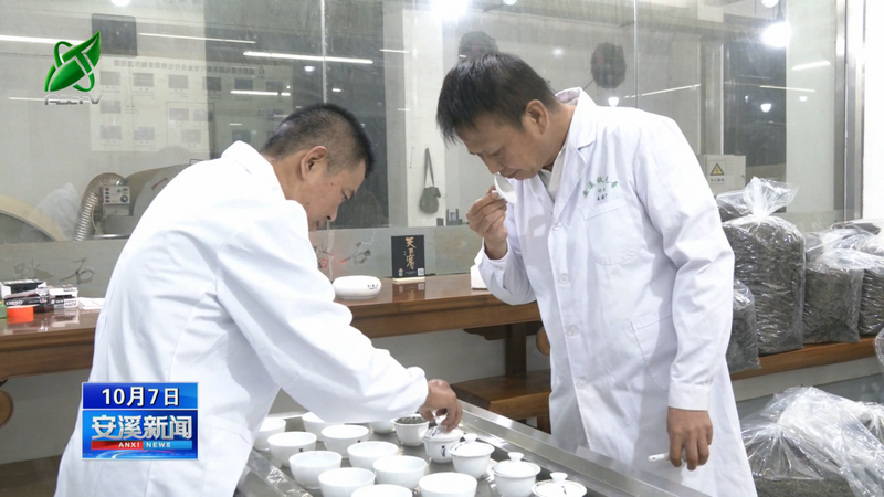 有关于安溪:秋茶采制正当时 量减质优单价涨的信息(6)