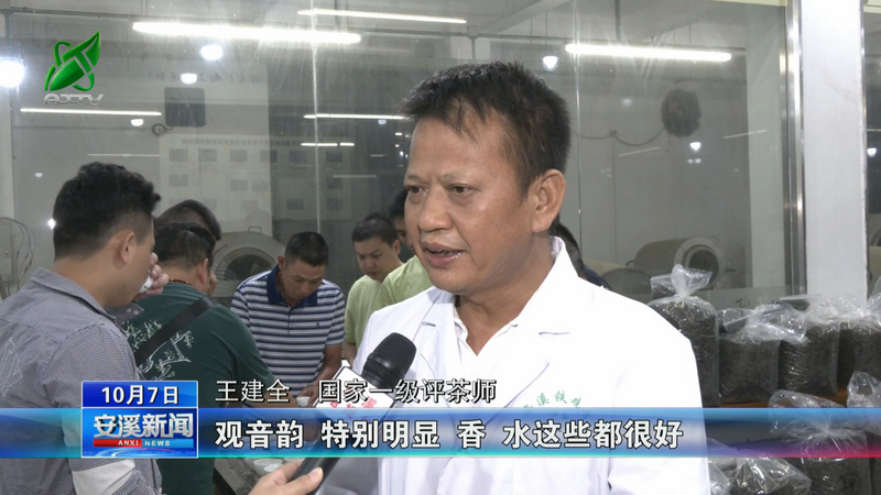 有关于安溪:秋茶采制正当时 量减质优单价涨的信息(8)