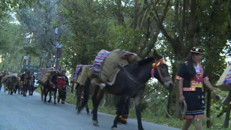 有关于2022 年中国临沧凤庆红茶节暨凤庆茶马文化推广周联盟茶企重走茶马古道活动---古镇马帮出镇仪式的相关信息(2)
