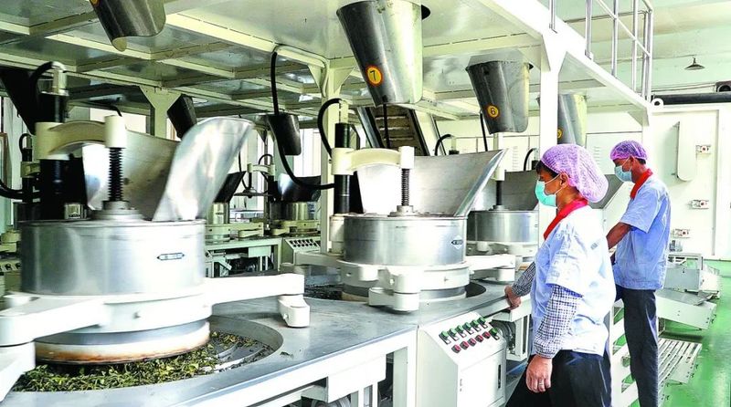 有关于昔日荒山变金山 茶园成了致富园——探访六堡茶发源地梧州市苍梧县六堡镇的内容(3)