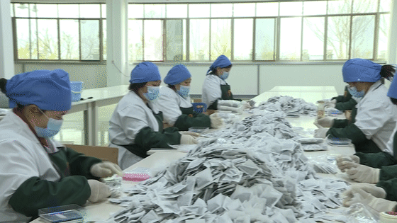 有关于余庆苦丁茶：疫情防控不松劲 秋茶生产不误时的信息(4)