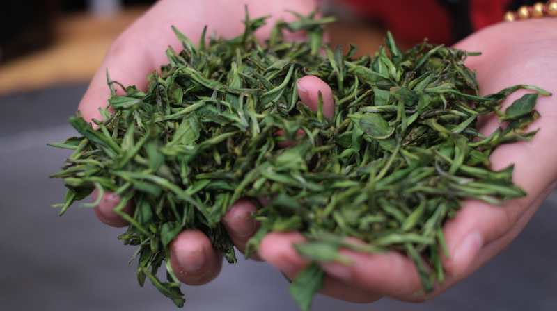 有关于金坛融媒小记者走进茅山茶海感受茶文化的资讯(1)