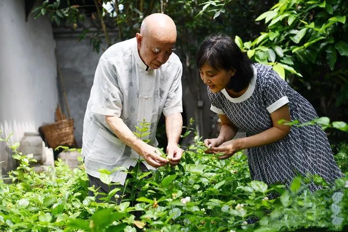 关于掌中盖碗啜新绿 花茶氤氲半城客的内容(2)