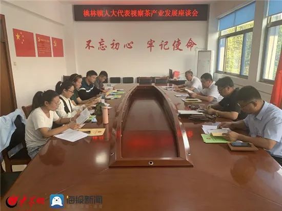 有关于诸城市桃林镇组织人大代表深入茶企视察,共谋全镇茶产业发展的资讯(4)