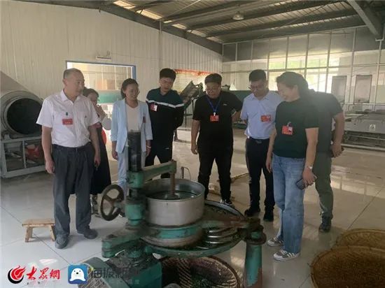 有关于诸城市桃林镇组织人大代表深入茶企视察,共谋全镇茶产业发展的资讯(2)