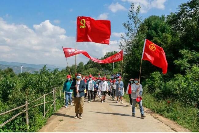 关于炉山镇组织实训大学生到香炉山茶园体验采摘炒茶的内容