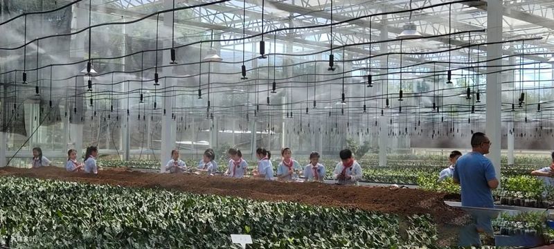 有关于非凡十年，产值超92亿！“三三转化”策略助推新昌茶产业发展！的信息(7)