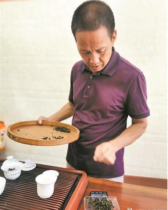 有关于安溪秋茶采制正当时 雨水不足导致本季产量下降的消息(1)