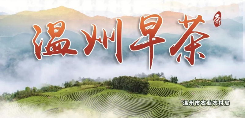 关于浙茶北上，两展联动，名优品牌提前揭晓！的信息(10)