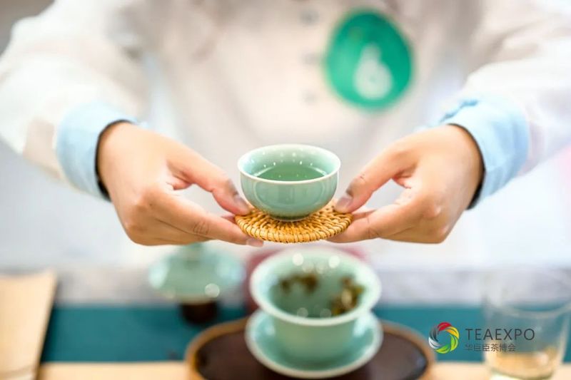 关于浙茶北上,两展联动,名优品牌提前揭晓!的信息(3)