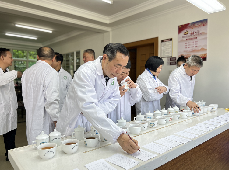有关于湖南红茶“十大制茶工匠”、“十大产品品牌”专家评审会举行的新闻(5)