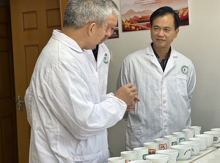有关于湖南红茶“十大制茶工匠”、“十大产品品牌”专家评审会举行的新闻(2)
