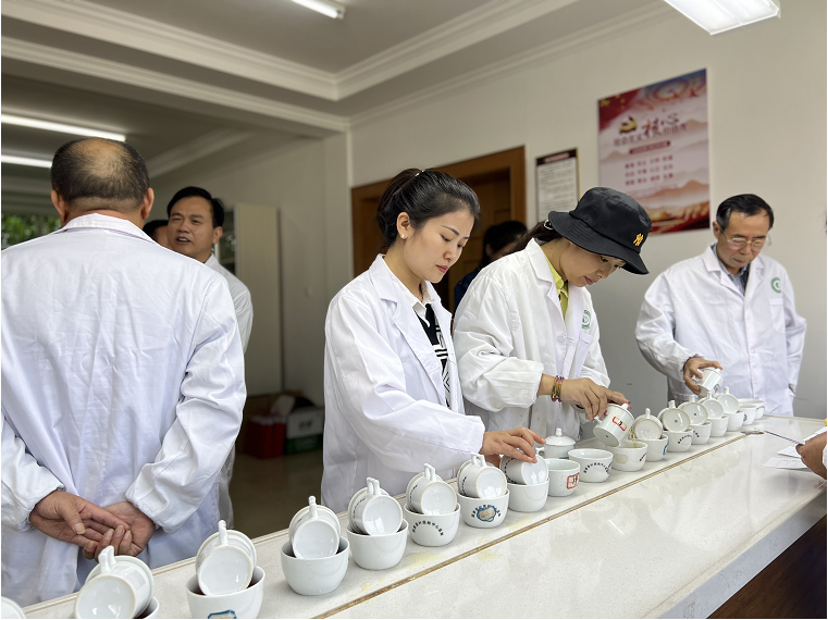 有关于湖南红茶“十大制茶工匠”、“十大产品品牌”专家评审会举行的新闻(4)